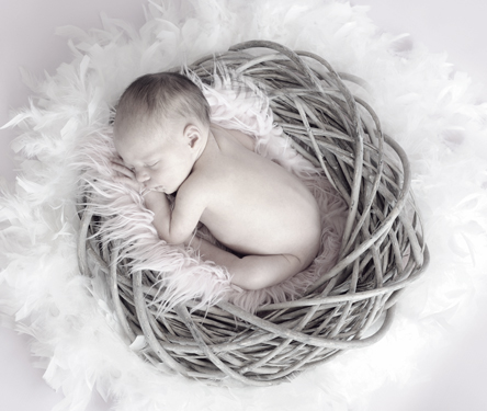 newborn-photog-northridge-studio